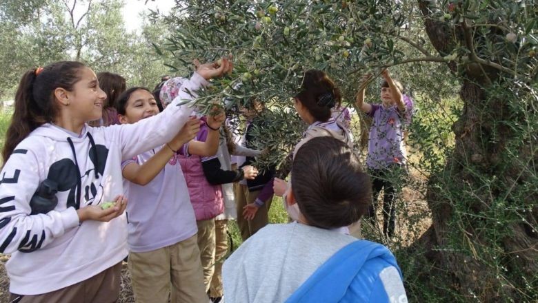 100’üncü Yıla Damga Vuran Zeytinli Etkinlik