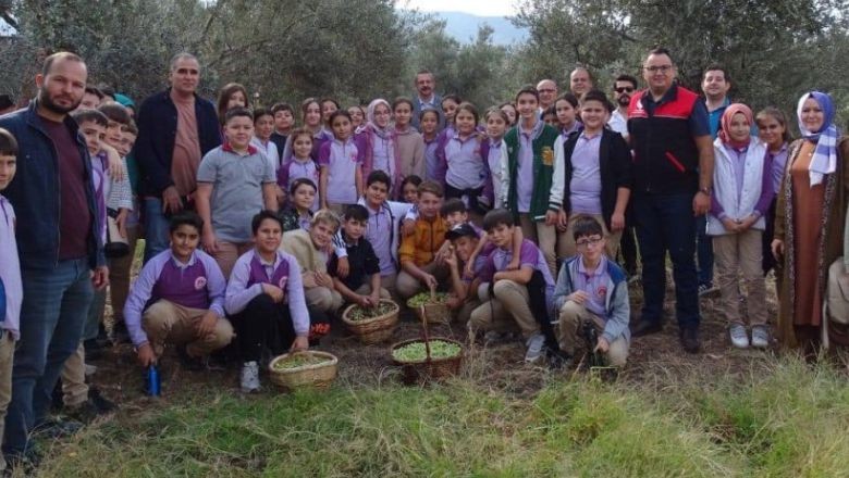 100’üncü Yıla Damga Vuran Zeytinli Etkinlik