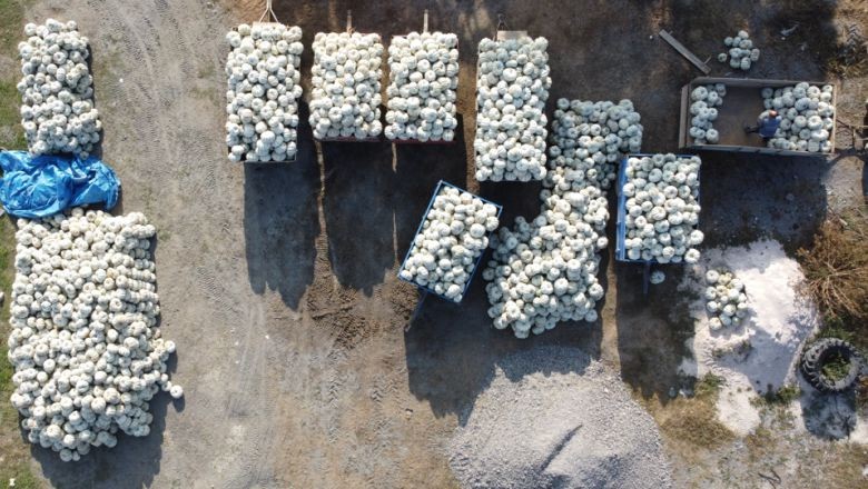 Üreticiler 17 Yıllık Verimi Barajdan Sağlıyor...