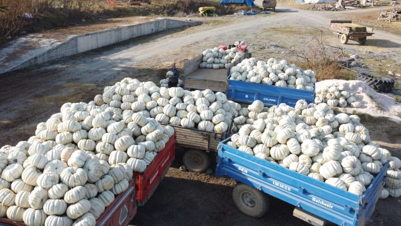 Üreticiler 17 Yıllık Verimi Barajdan Sağlıyor...