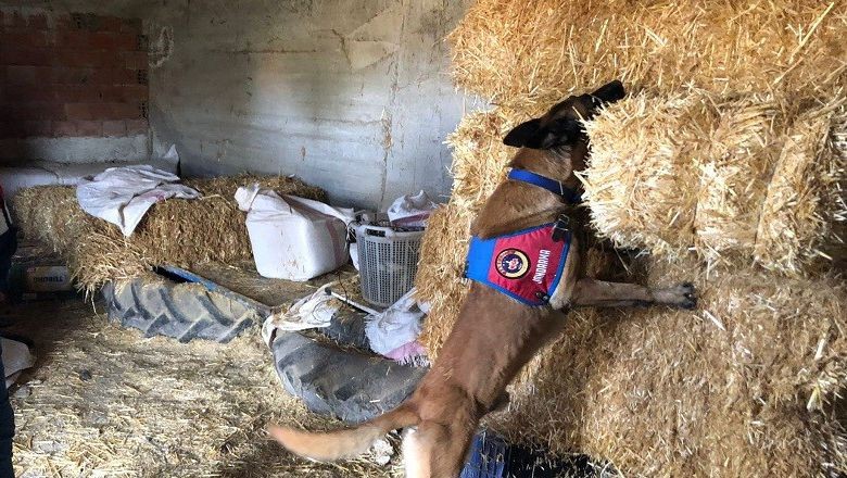 2 Narkotik Köpeği Huzur İçin Sahalarda