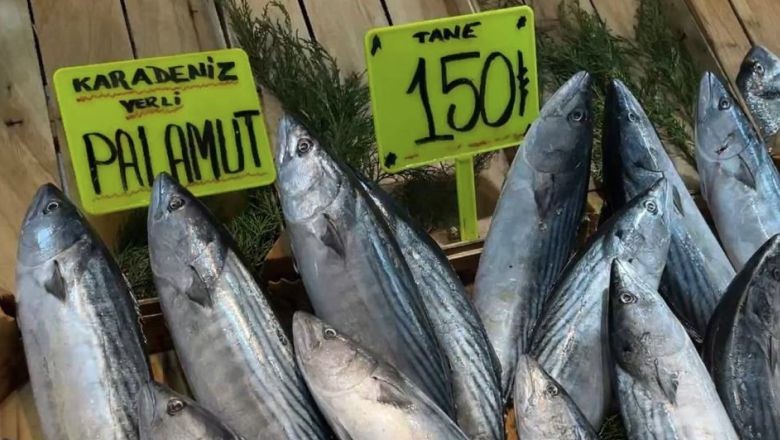 Hamsi Bolluğunda Hava Şartları Etki Gösterdi