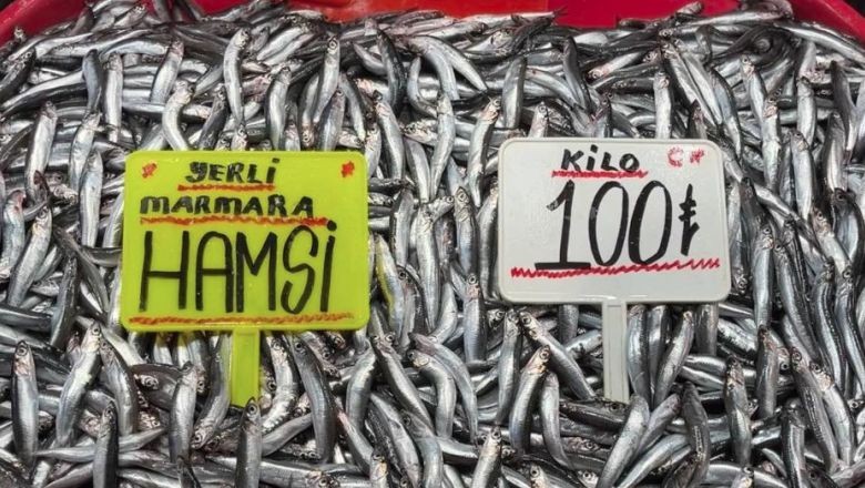Hamsi Bolluğunda Hava Şartları Etki Gösterdi