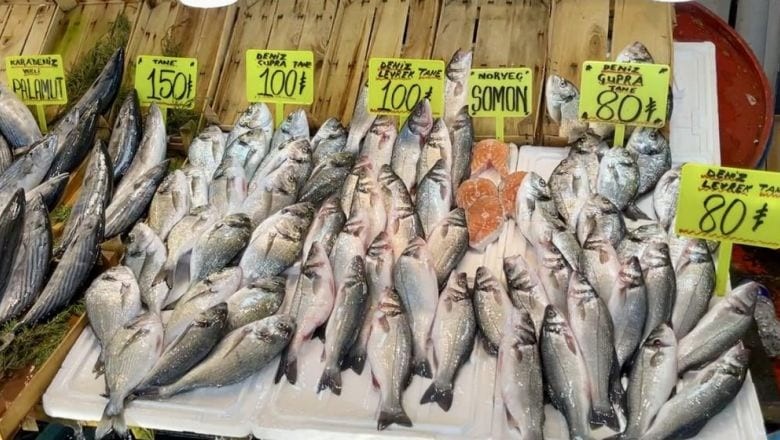 Marmara'da Hamsi Krizi! Balık Fiyatları Hızla Yükseliyor