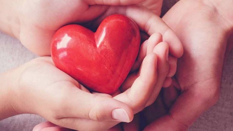 Organ Nakli Ve Bağış Nasıl Yapılır?