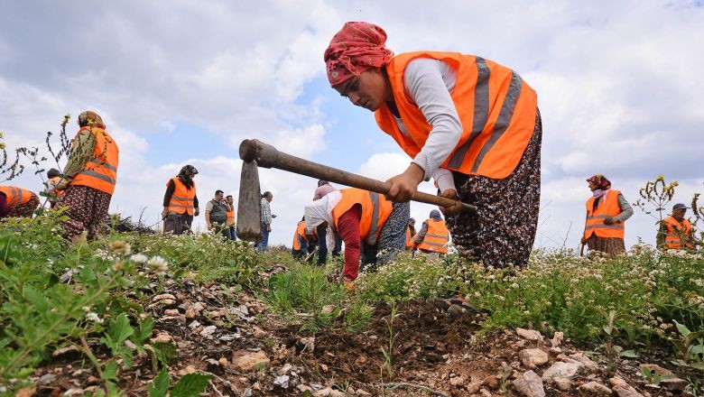 Orman Bölge Müdürlüğünden Köy Kalkınmasına Milyonluk Destek