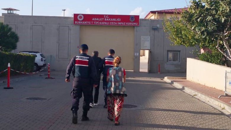 Zeytinlikten Cezaevine! Yakayı Ele Verdiler