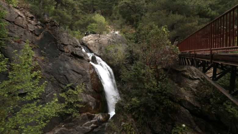 Balıkesir'in Zengin Faunası ve Koruma Alanları
