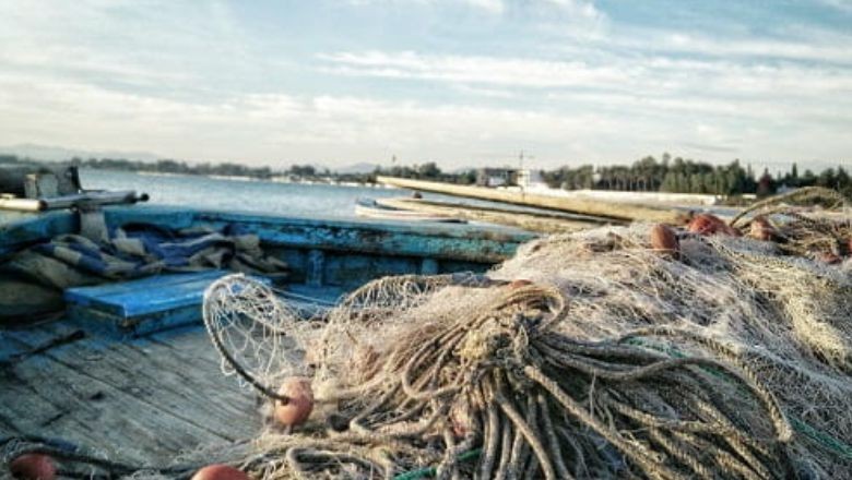 Balıkesir'in Zengin Faunası ve Koruma Alanları