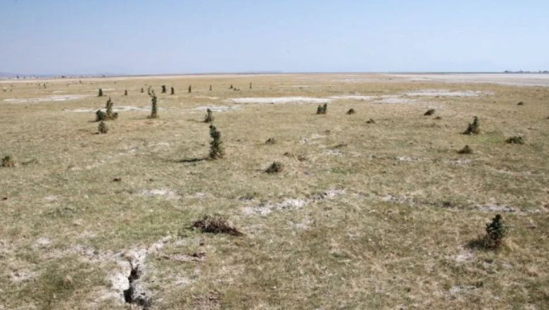 NASA Görüntüleri: 18 Yılda Kuruyan Bitlis Gölü