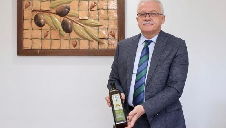 Zeytinin Başkenti Burhaniye’de Hasat Zamanı