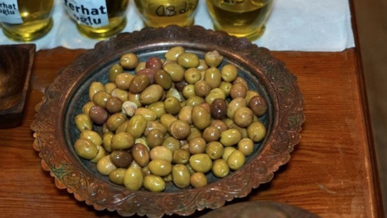 Balıkesir'in Kasım Ayı Hasadı