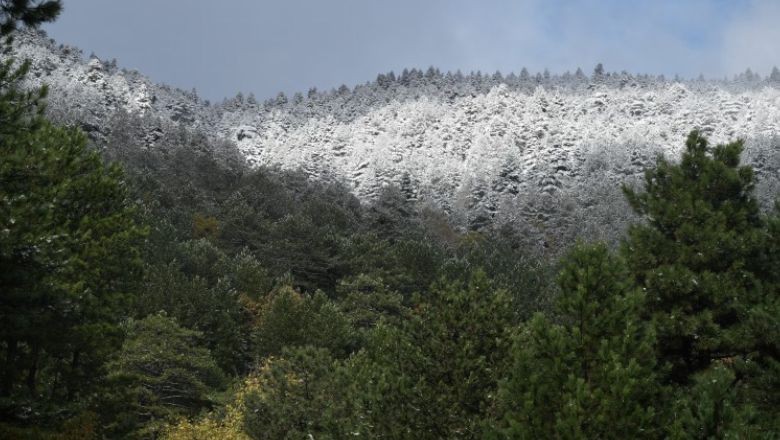 Mevsimin İlk Karı Kazdağları'nda Görüldü