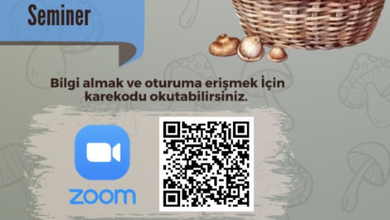 Balıkesir Üniversitesi'nden Çevrimiçi Seminer