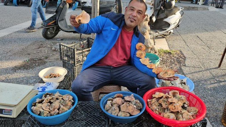 Kırmızı Melki Sezonu Başladı: Kilosu 200 Lira
