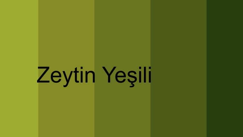 Sonbahar Modasının Renk Paleti