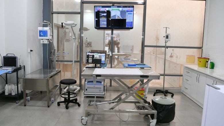 Türkiye'ye Örnek "Bandırma Sokak Hayvanları Tedavi Merkezi"