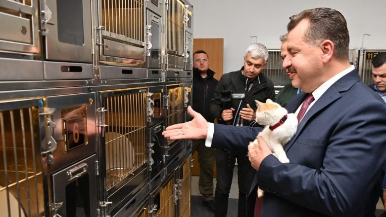 Türkiye'ye Örnek "Bandırma Sokak Hayvanları Tedavi Merkezi"