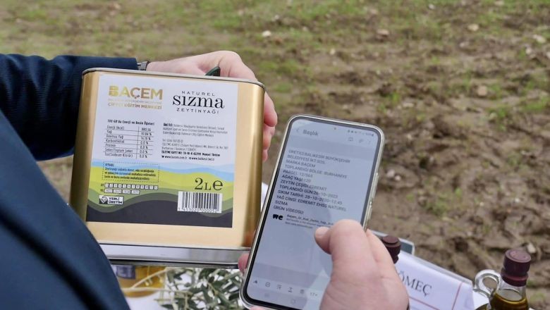 Balıkesir'in Zeytinyağları Kimlik Kazanıyor