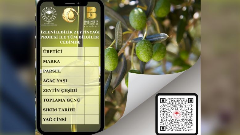 Balıkesir'in Zeytinyağları Kimlik Kazanıyor