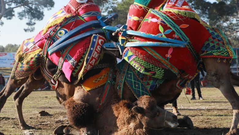 Burhaniye'de Beklenen Festival İçin Tarih Verildi!