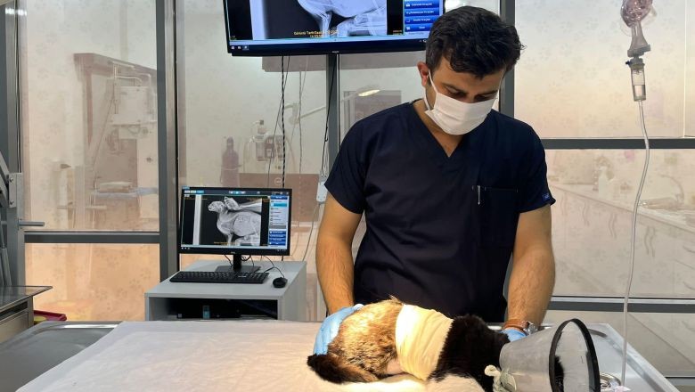 Büyükşehir’den Balıkçılara Uyarı