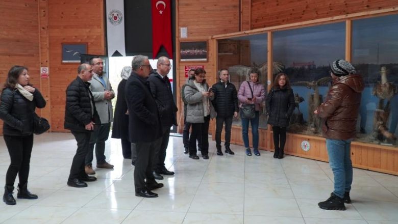 Denizlerin Geleceği Deniz Çayırları