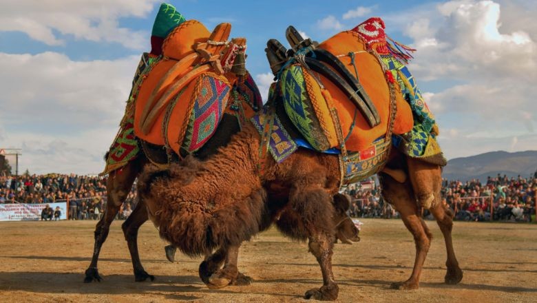 Burhaniye'de Ödüller Sahiplerini Buldu