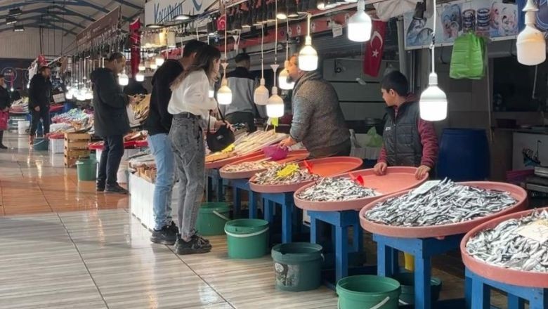 Bandırma Körfezi'nde Hamsi Bolluğu