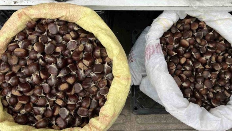 Balıkesir'de Kestane Fiyatları Dudak Uçuklatıyor