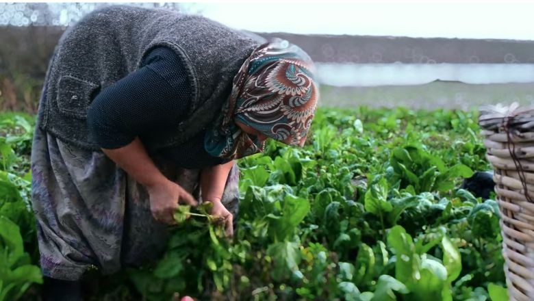 Balıkesir'in İçinden: Hem Üretiyor Hem Satıyor