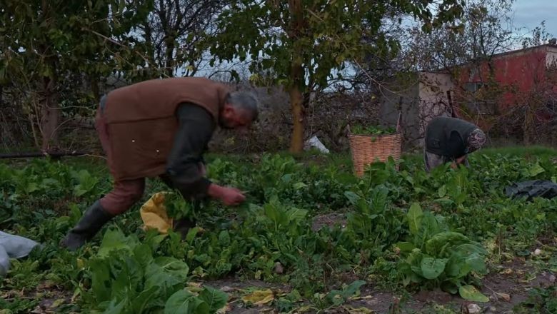 Balıkesir'in İçinden: Hem Üretiyor Hem Satıyor