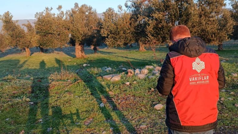 Balıkesir'de 180 Bin Zeytin Ağacı Koruma Altında