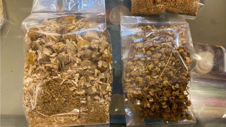 Balıkesir'in Doğal Hazinesi Papatya Çayı