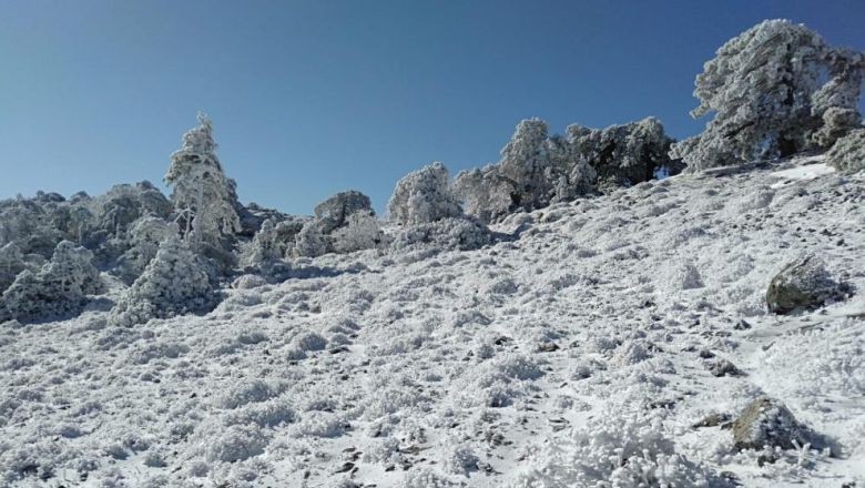 Kazdağları'nda Zirve Heyecanı