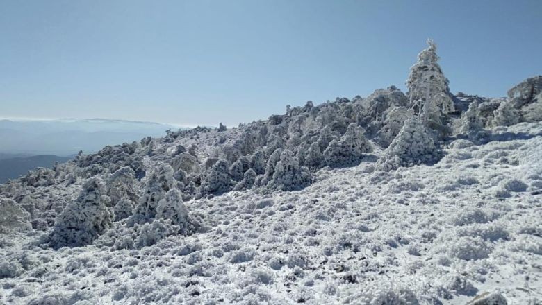 Kazdağları'nda Zirve Heyecanı