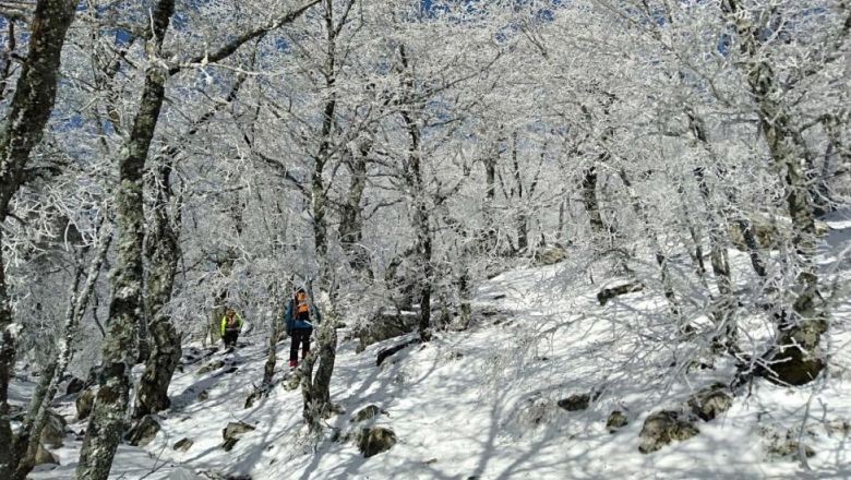 Kazdağları'nda Zirve Heyecanı