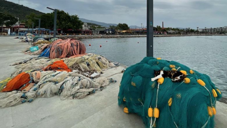 Balıkesir'de Balıkçı Olmak