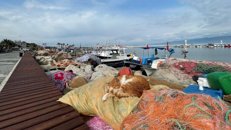 Balıkesir'de Balıkçı Olmak