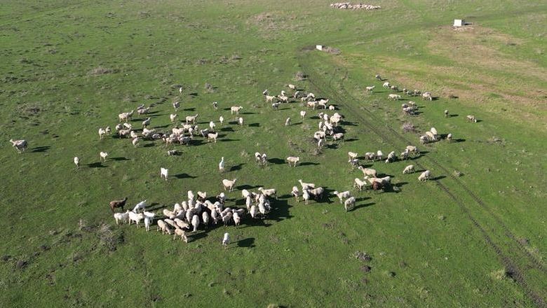 Balıkesirli Çiftçilerin Hukuk Mücadelesi