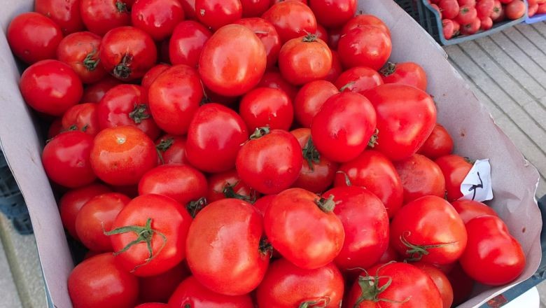 Balıkesir'in Pazarında 10 Liralık Domatese Büyük İlgi