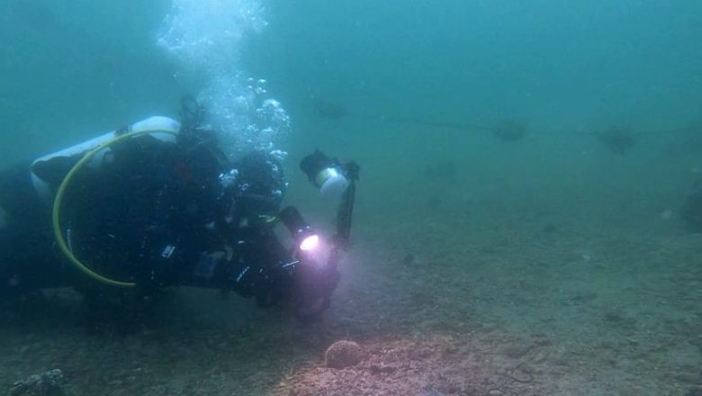 Marmara'da Müsilaj Savaşçıları Doğuyor