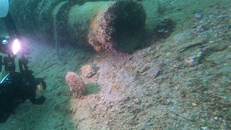 Marmara'da Müsilaj Savaşçıları Doğuyor