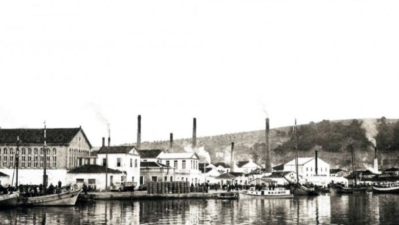 Zeytinin Hasadı Kitaplaştı