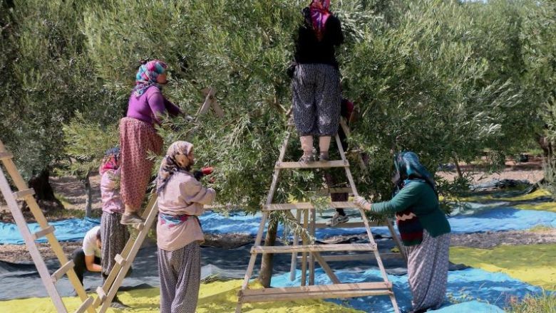 Balıkesir’de Tatil İçin Nereye ve Neden Gitmelisiniz?