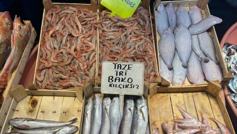 Fırtına Balık Çeşitliliğini Azalttı