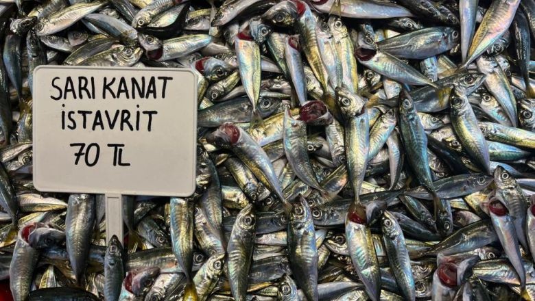 Fırtına Balık Çeşitliliğini Azalttı