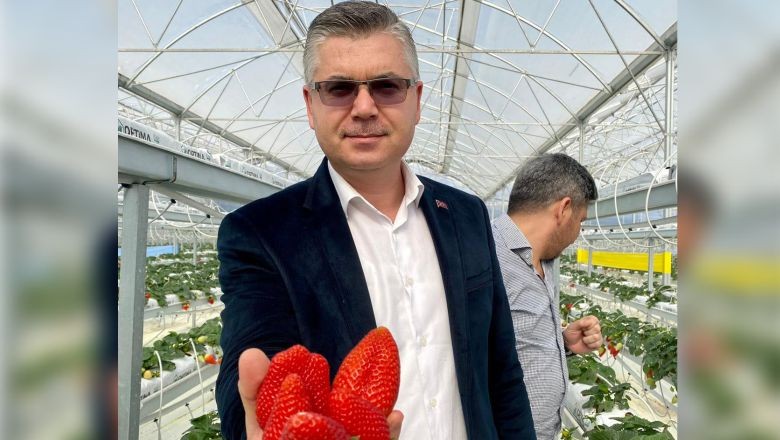 Örtüaltı Tarımda Balıkesir Merkez Olma Yolunda