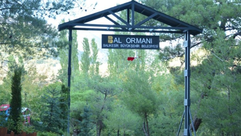 Türkiye'nin En Büyük Bal Ormanı Balıkesir'de