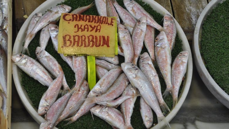 Balıkesir’de Çipura Vakti Fiyatı 270 Lira